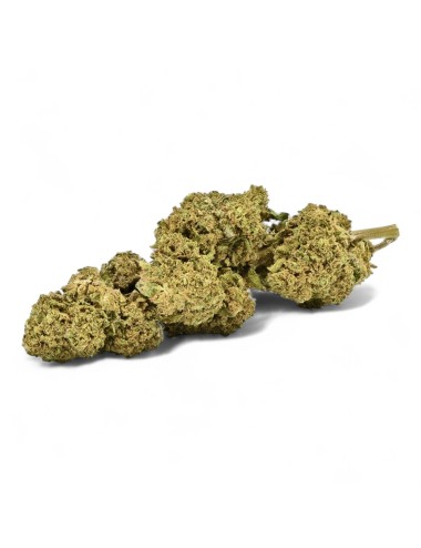 CBD-Blüte Remedy Greenhouse Premium