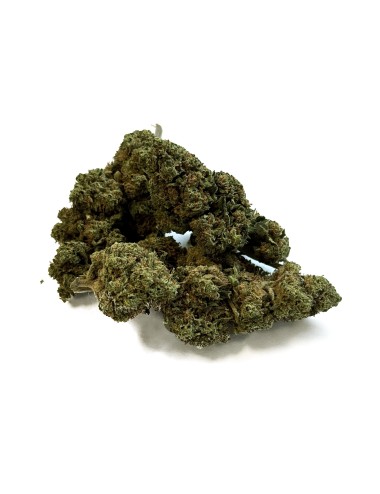 CBD-Blüte California Kush Greenhouse Premium