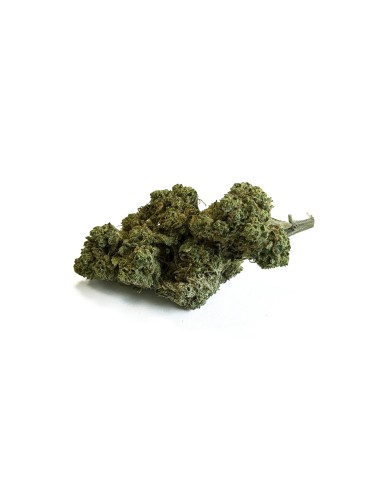 CBD-Blüte California Kush Greenhouse Premium
