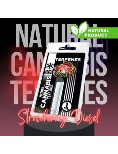 Terpene Strawberry Diesel | PLANT OF LIFE