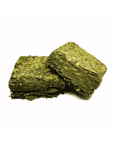 Canna Tablette 50g Indoor