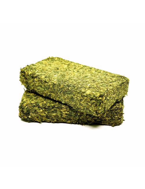 Canna Tablette 50g Indoor