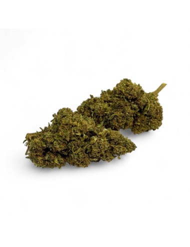 CBD-Blüte Cannatonic Greenhouse