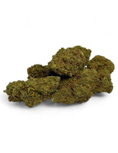 CBD-Blüte Amnesia 2.0 Greenhouse