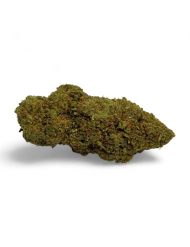 CBD-Blüte Amnesia 2.0 Greenhouse