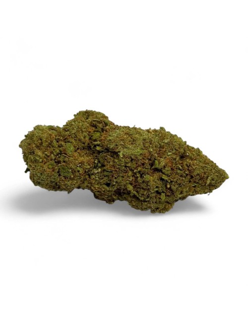 CBD-Blüte Amnesia 2.0 Greenhouse