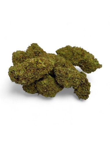 CBD-Blüte Amnesia 2.0 Greenhouse