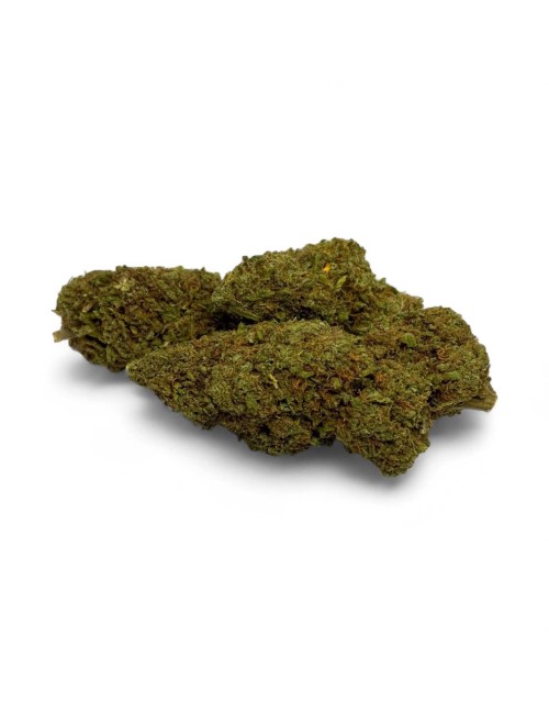 CBD-Blüte Amnesia 2.0 Greenhouse