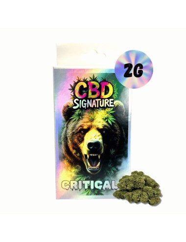 CBD-Blüte Critical+ 2G - CBD Signature