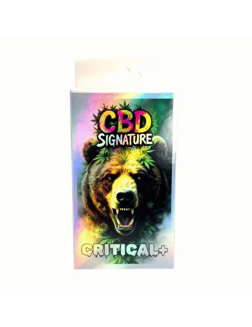 CBD-Blüte Critical+ 2G - CBD Signature