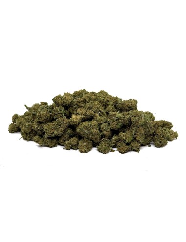 Small Bud CBD Beere NL-1 10%