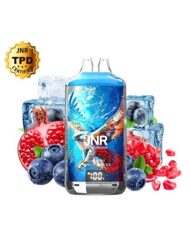 Puff Falcon-X Plus 28000 Blaubeere Granatapfel Eis JNR