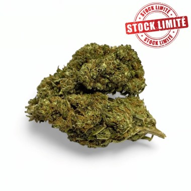 Ausverkauf CBD-Blüte Harlequin Indoor - Begrenzte Menge