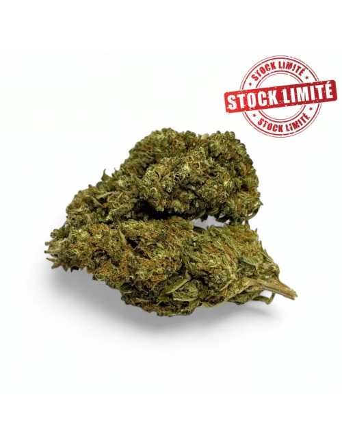 Ausverkauf CBD-Blüte Harlequin Indoor - Begrenzte Menge
