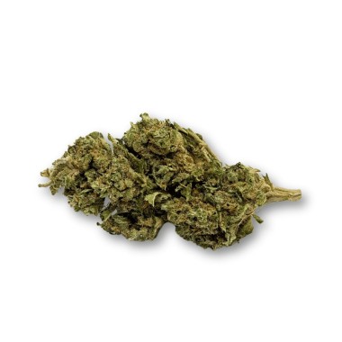 Ausverkauf CBD-Blüte Harlequin Indoor - Begrenzte Menge