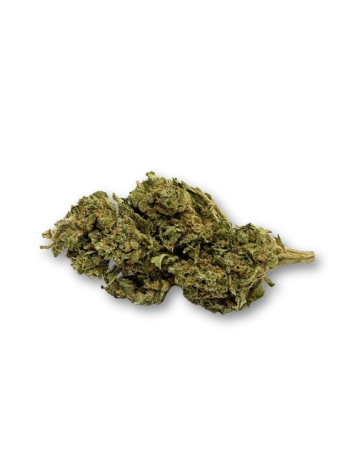 Ausverkauf CBD-Blüte Harlequin Indoor - Begrenzte Menge