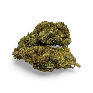 Ausverkauf CBD-Blüte Harlequin Indoor - Begrenzte Menge
