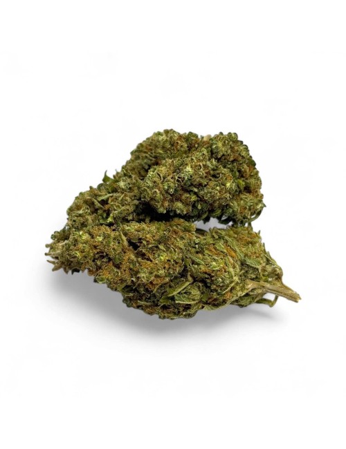 Ausverkauf CBD-Blüte Harlequin Indoor - Begrenzte Menge