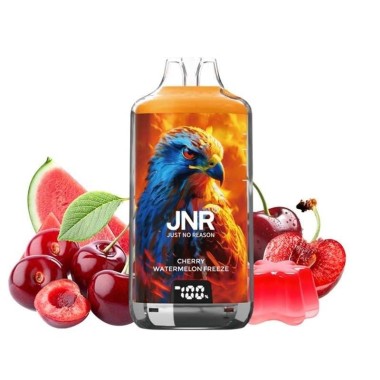 Puff Falcon-X Plus 28K Kirsch-Wassermelone Frost 950mAh 2ml - JNR
