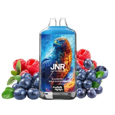 Puff Falcon-X Plus 28K Blaubeere Saure Himbeere 950mAh 2ml - JNR