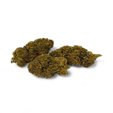 CBD-Blüte Gorilla Greenhouse