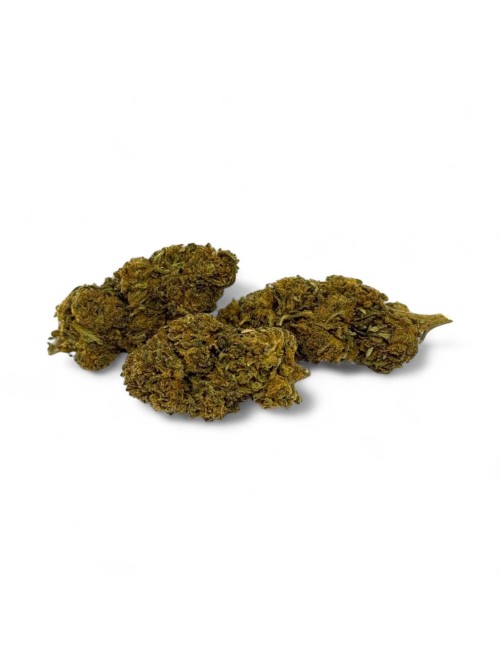 CBD-Blüte Gorilla Greenhouse