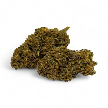 CBD-Blüte Gorilla Greenhouse