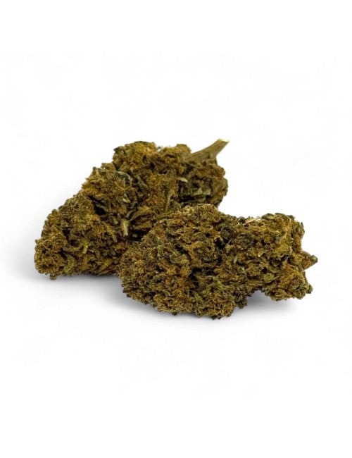 CBD-Blüte Gorilla Greenhouse