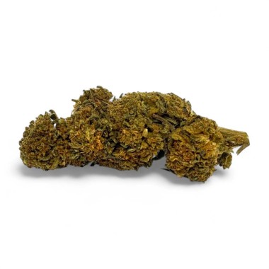 CBD-Blüte Gorilla Greenhouse