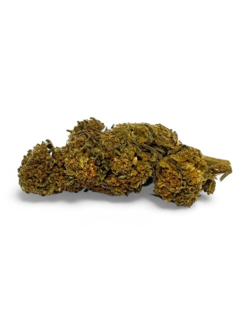 CBD-Blüte Gorilla Greenhouse