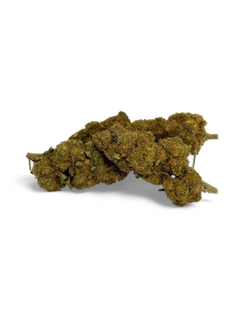 CBD-Blüte Critical+ Greenhouse 8%
