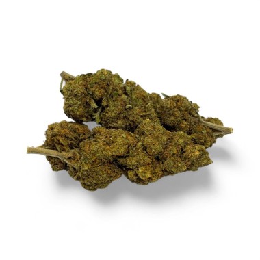 CBD-Blüte Critical+ Greenhouse 8%