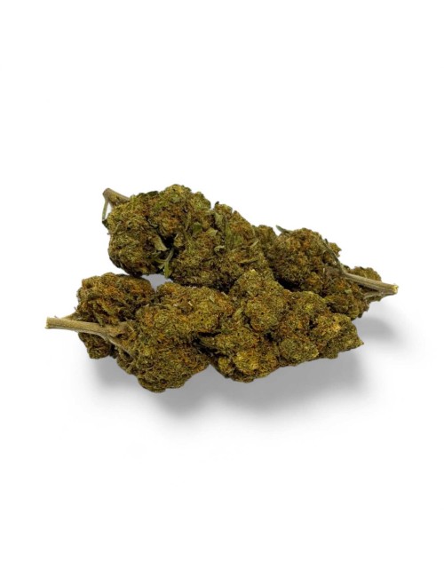 CBD-Blüte Critical+ Greenhouse 8%