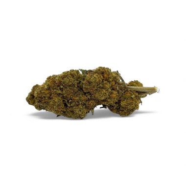 CBD-Blüte Critical+ Greenhouse 8%