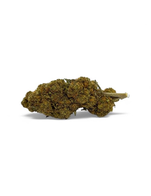 CBD-Blüte Critical+ Greenhouse 8%