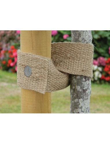 Natürlicher Baumgurt 5 m x 5 cm