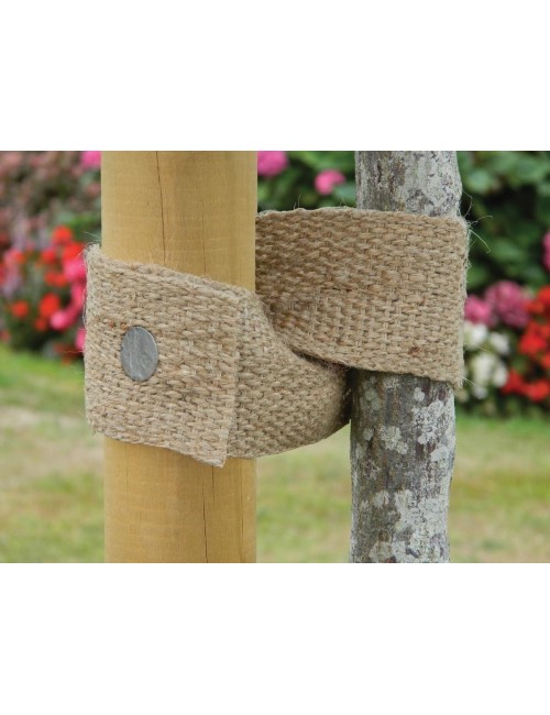 Natürlicher Baumgurt 5 m x 5 cm