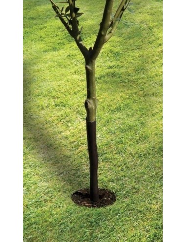 Spiralförmiger Baumschutz 61cm