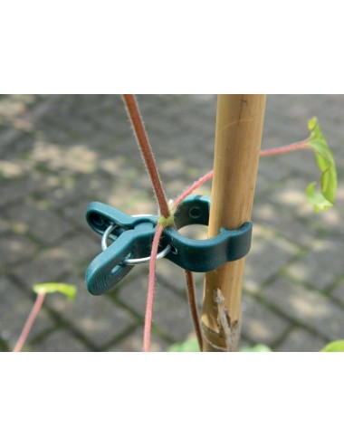 Kleine Pflanzenklemmen 5er-Set