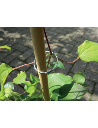 Galvanisierte Pflanzenringe Set von 25