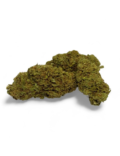 CBD-Blüte Green Crack Indoor Limited Edition
