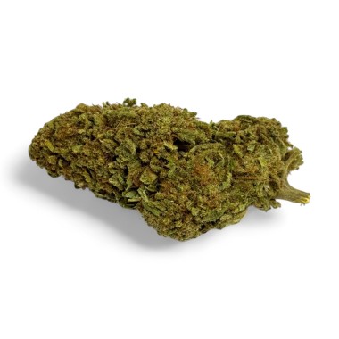 CBD-Blüte Green Crack Indoor Limited Edition