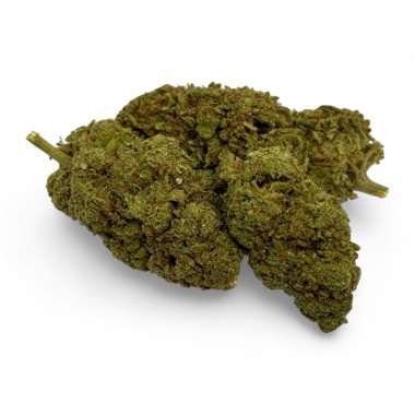 CBD-Blüte Green Crack Indoor Limited Edition