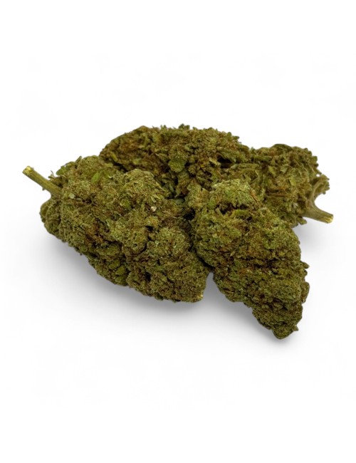 CBD-Blüte Green Crack Indoor Limited Edition