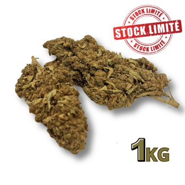 Ausverkauf CBD-Blüte Tonic Kush Outdoor 1KG - Begrenzte Menge
