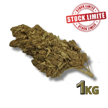 Ausverkauf CBD-Blüte Tonic Kush Outdoor 1KG - Begrenzte Menge