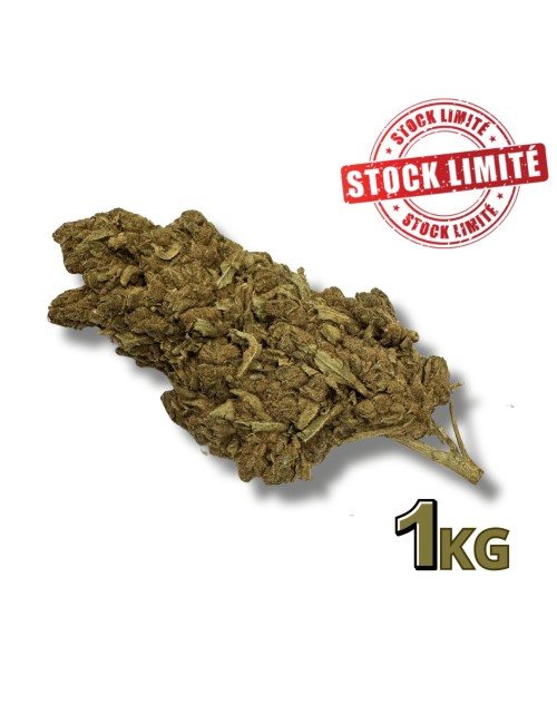 Ausverkauf CBD-Blüte Tonic Kush Outdoor 1KG - Begrenzte Menge