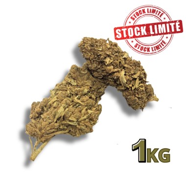 Ausverkauf CBD-Blüte Tonic Kush Outdoor 1KG - Begrenzte Menge