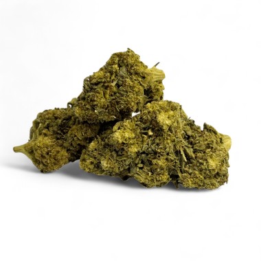 CBD-Blüte Cryo Glasshouse NXT+
