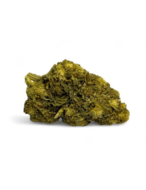 CBD-Blüte Cryo Glasshouse NXT+